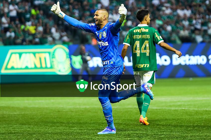 Ginga Bonito 🇧🇷 on X: 🚨OFFICIAL: É CAMPEÃO!!! 🟢🐷 Palmeiras are the  2023 Brasileirão champions! Their 12th league title! What an incredible  comeback in the 2nd half of the campaign.  /